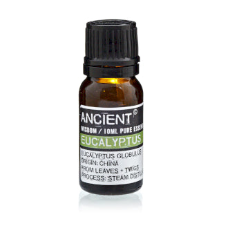 Eucalyptus - Æterisk Olie 10 ml